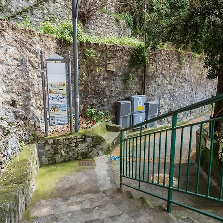 Lavinia Nocelle * 포지타노